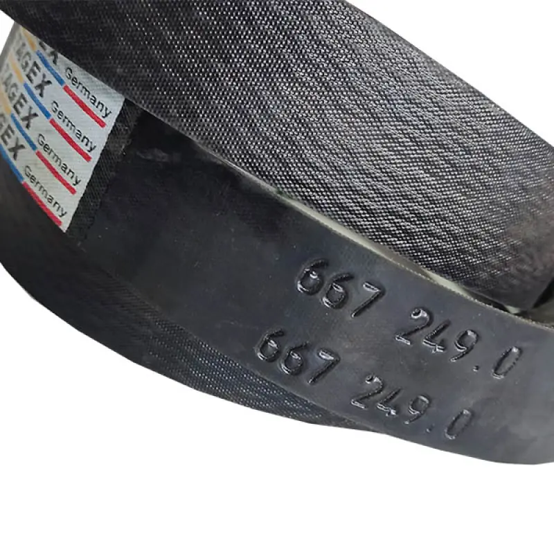 667249-T Two-Handed Belt Tagex