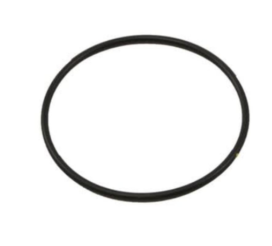 3678724 O-ring Cummins
