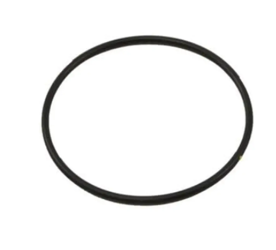 3678724 O-ring Cummins