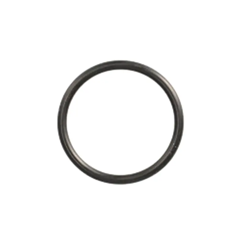 17289480 Sealing Ring CNH