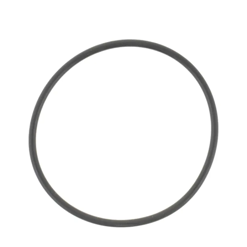001.05.1620 Sealing Ring Dana Spicer