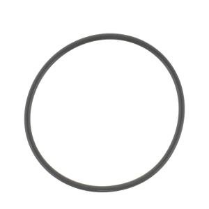 001.05.1620 Pierścień uszczelniający Dana Spicer