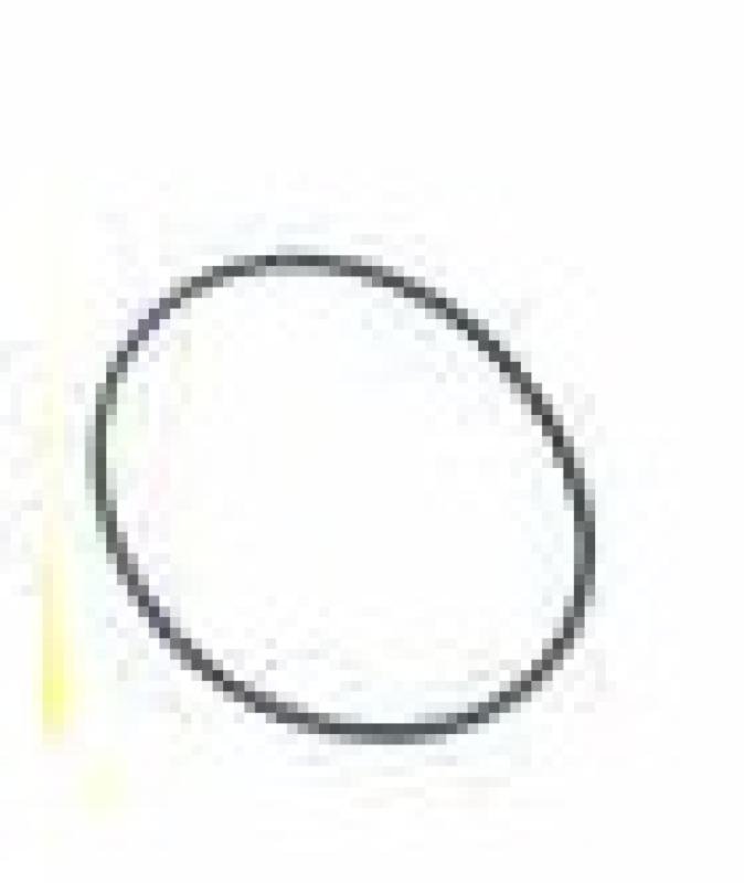 R76358 Pierścień uszczelniający John Deere (HDParts)