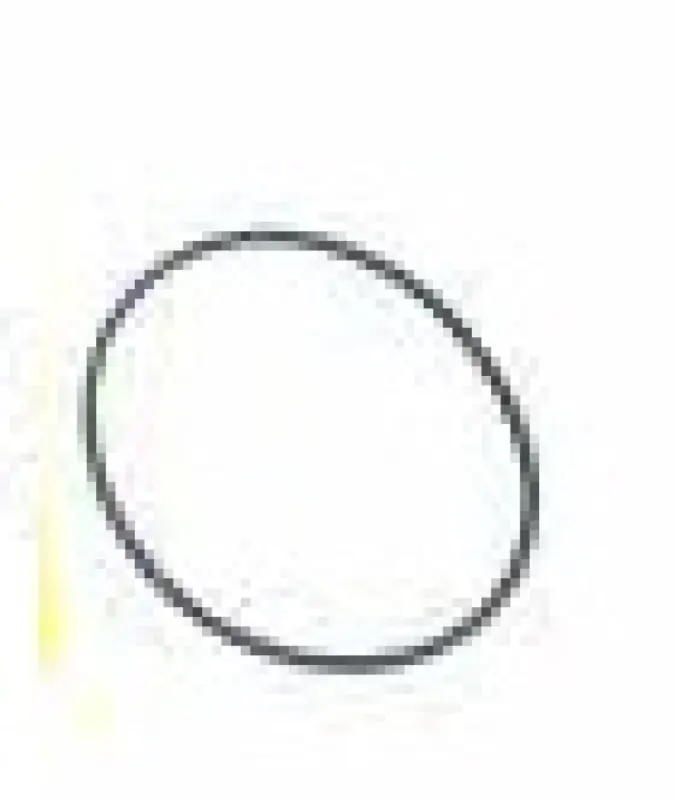 R76358 Pierścień uszczelniający John Deere (HDParts)