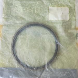 0002184090 Piston Seal 115x99.5x6.3 Claas