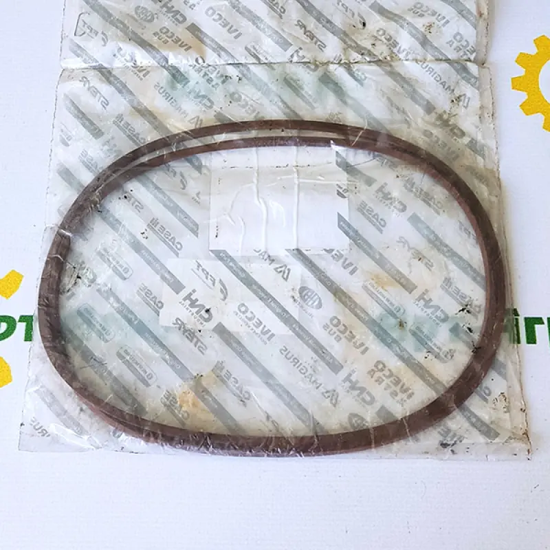 5165512 Seal Ring CNH
