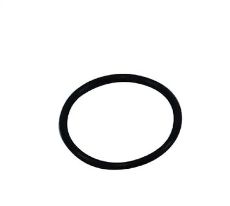 9824050 Sealing Ring CNH