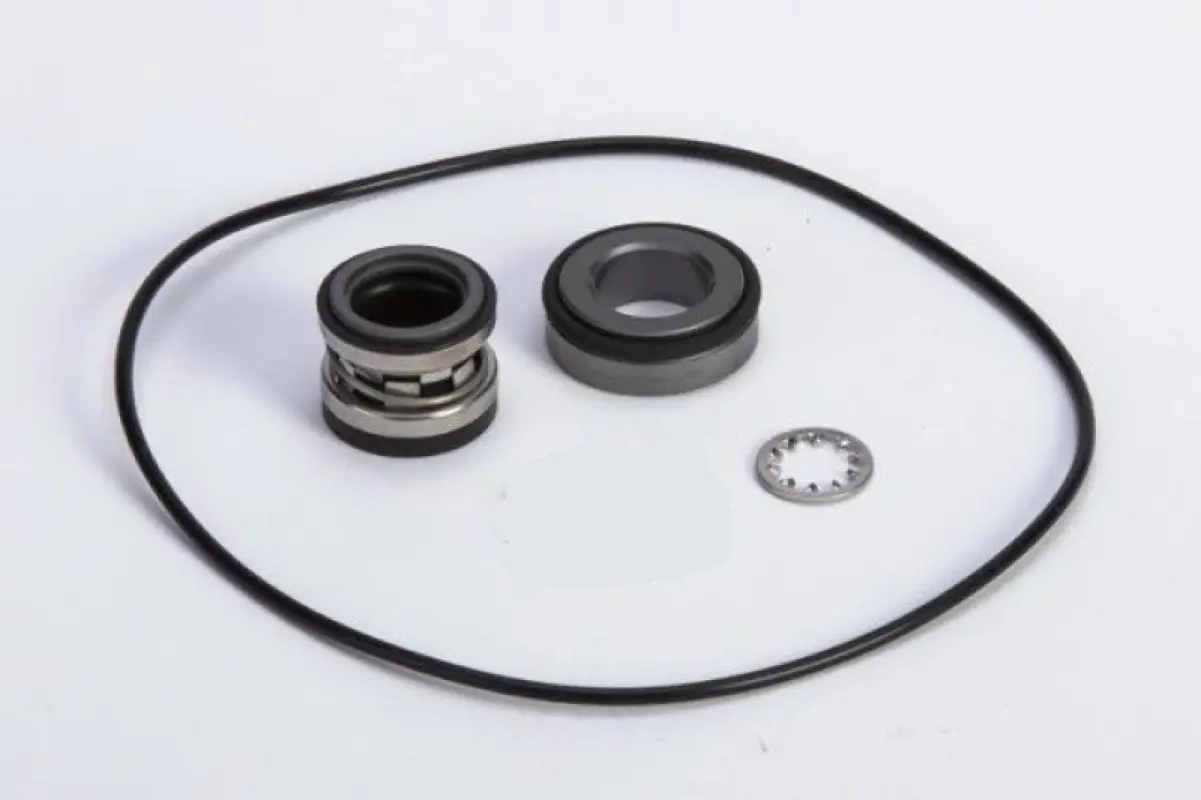 84345104 Repair Kit CNH (Ace pumps)