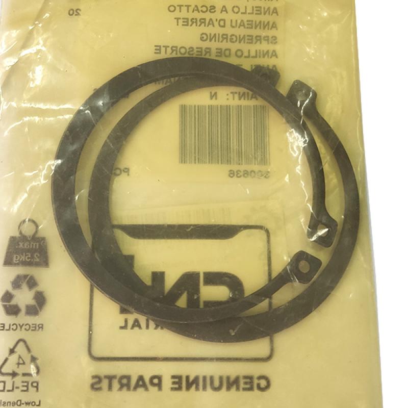 300636 Retaining Ring CNH