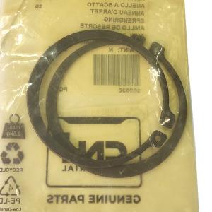 300636 Retaining Ring CNH