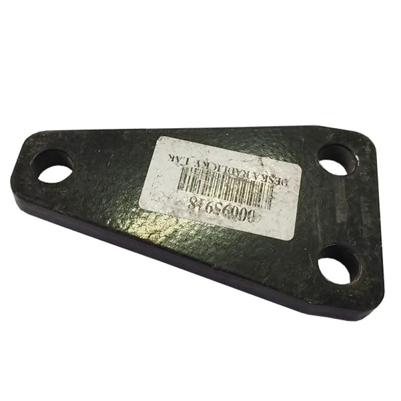 00095918 Bednar Plate