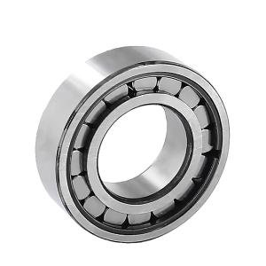 102305(NCL305V) Bearing Kit Single Row Roller