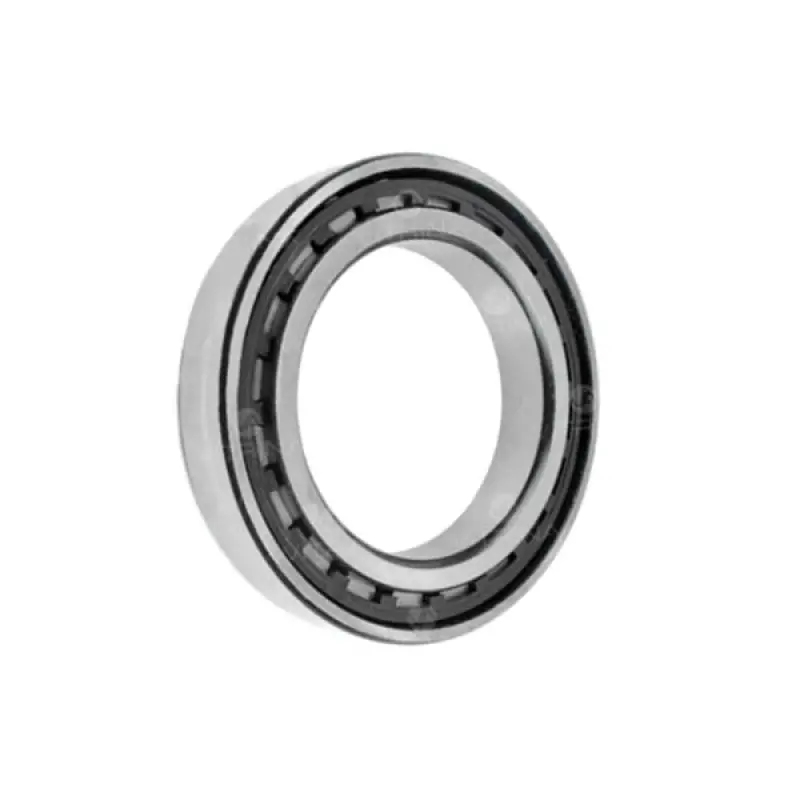 NF311 Set of Single Row Roller Bearings
