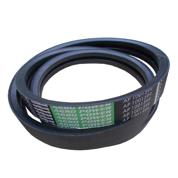 AP1001599 Double-loop Belt Optibelt