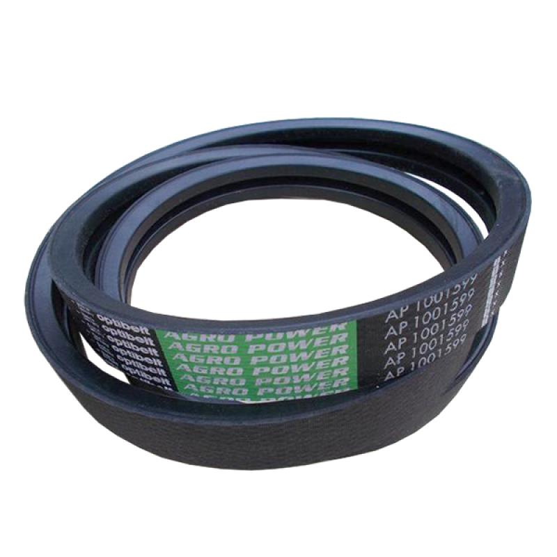 AP1001599 Pasek dwupętlowy Optibelt