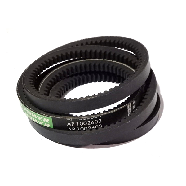 AP1002603 timing belt OPTIBELT