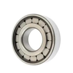 102210 Single Row Roller Bearing Set