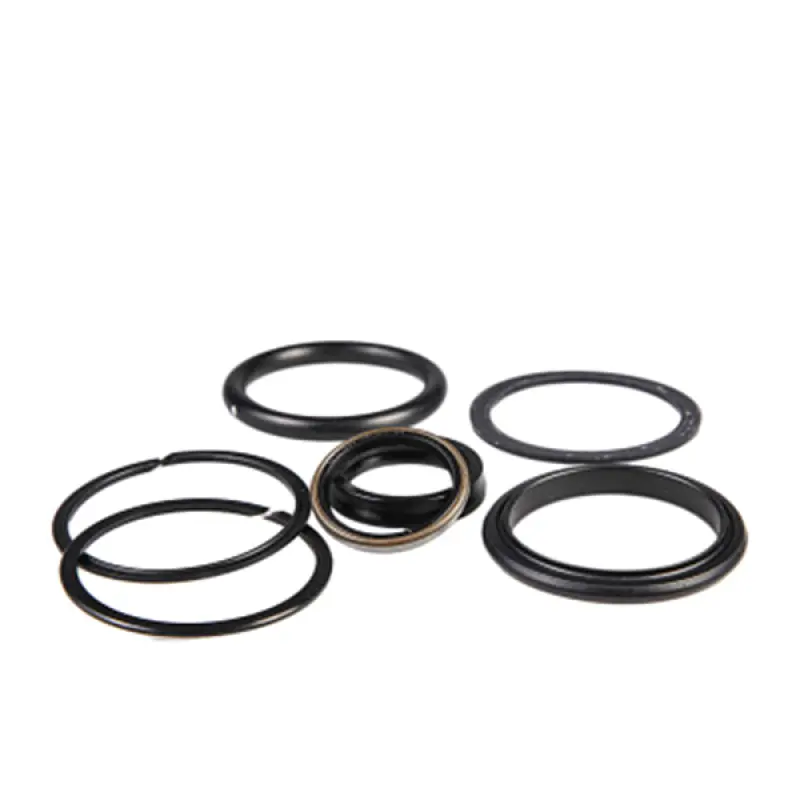 87364303 Hydraulic Cylinder Repair Kit CNH