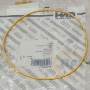 87433971 Sealing Ring CNH