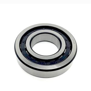 Single Row Roller Bearing N311 China