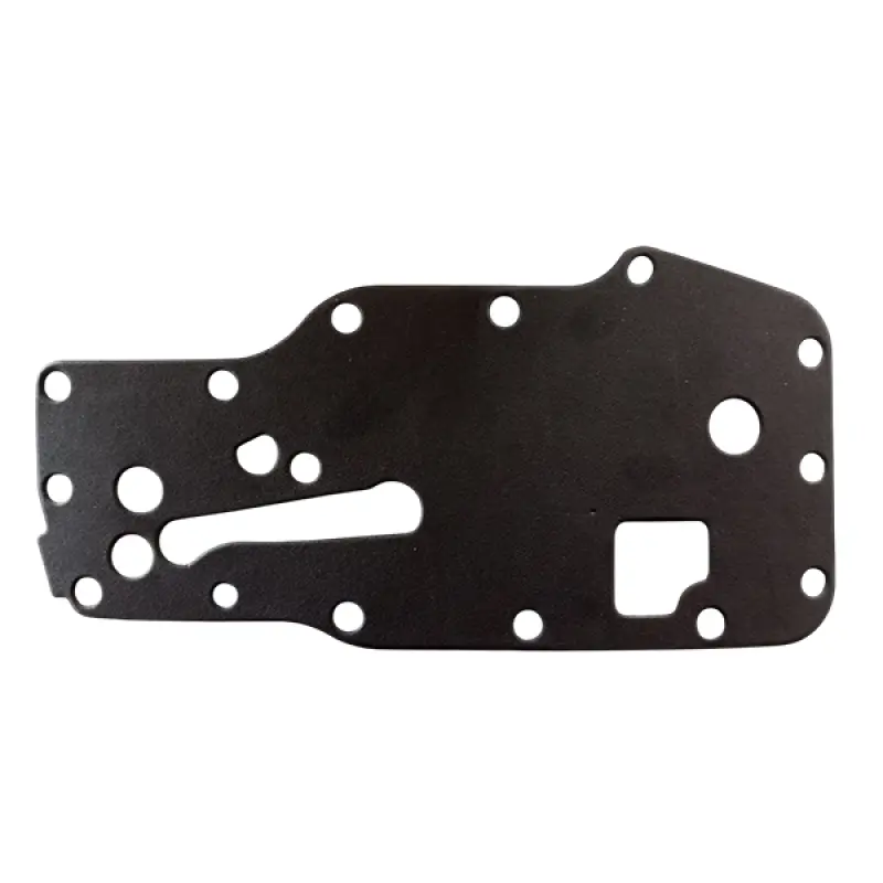 4896409 Heat exchanger gasket Spesso