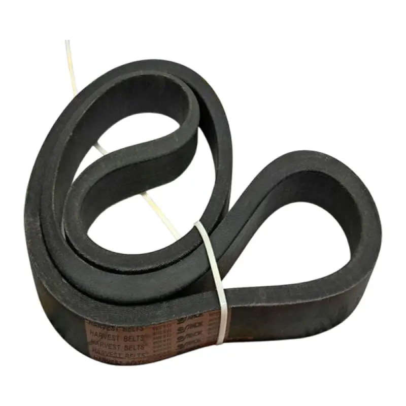 644362.0 Variable Speed Belt Sanok