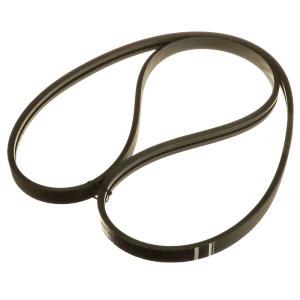 84168012 Double Ribbed Belt CNH