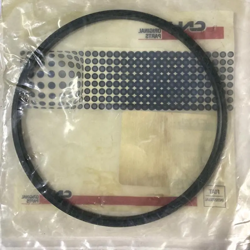 84435856 O-ring CNH