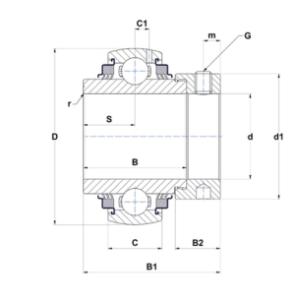 GW211PPB20 VDM Single Row Ball Bearing