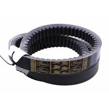 0209107 Variator Belt Gates