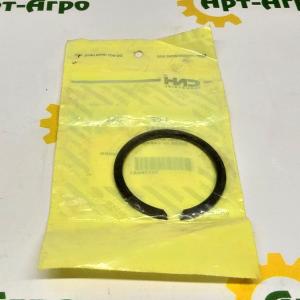 352394A1 Locking Ring CNH