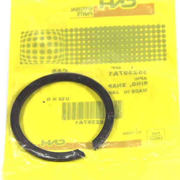 352397A1 Pierścień ustalający CNH