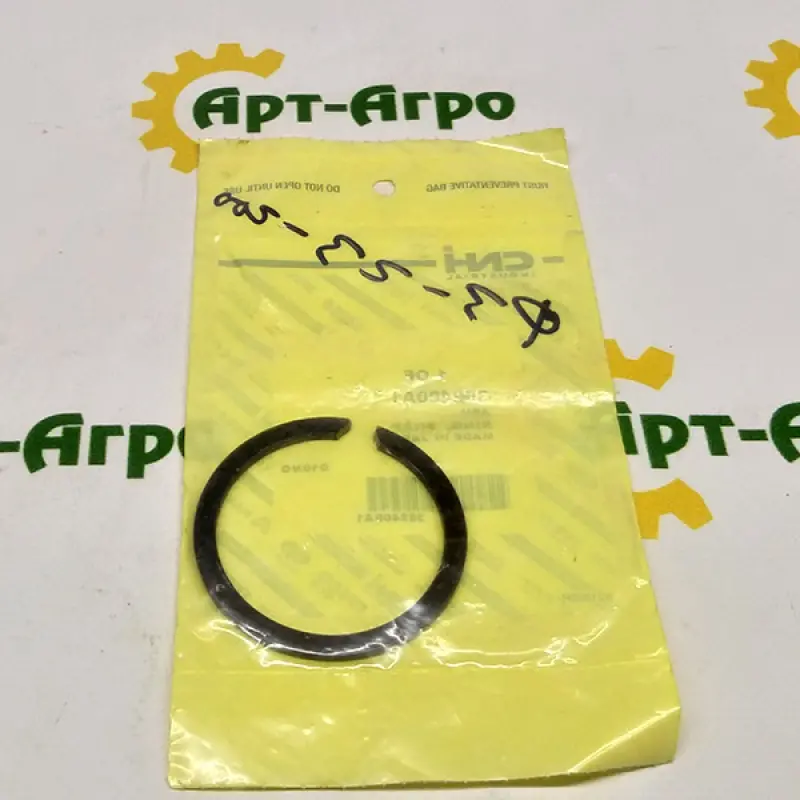 352400A1 Locking Ring CNH