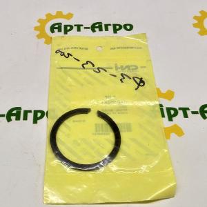 352400A1 Locking Ring CNH