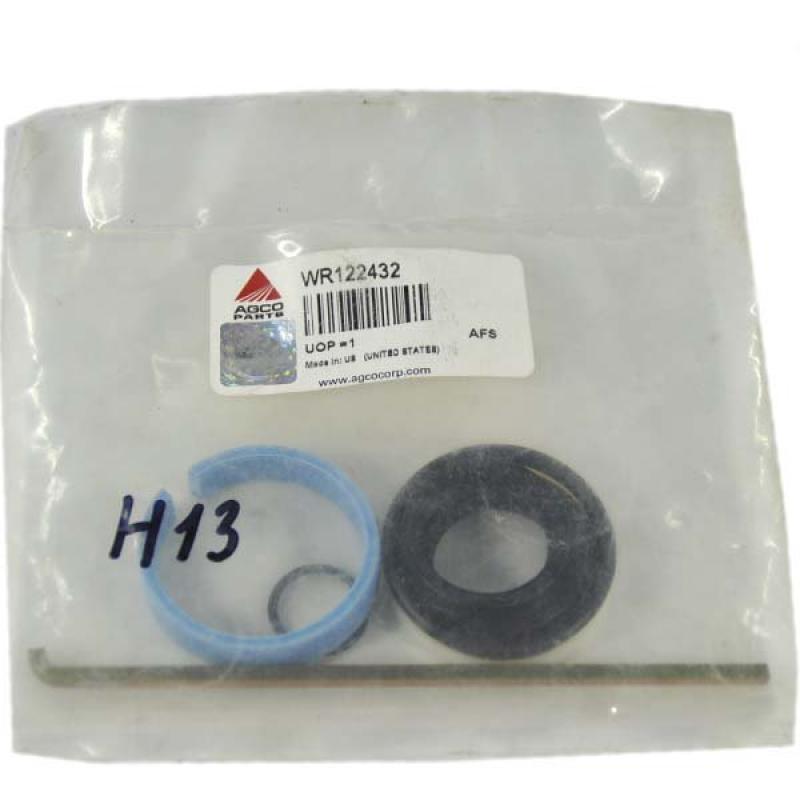 WR122432 Hydraulic Cylinder Repair Kit for Massey Ferguson (AGCO PARTS)