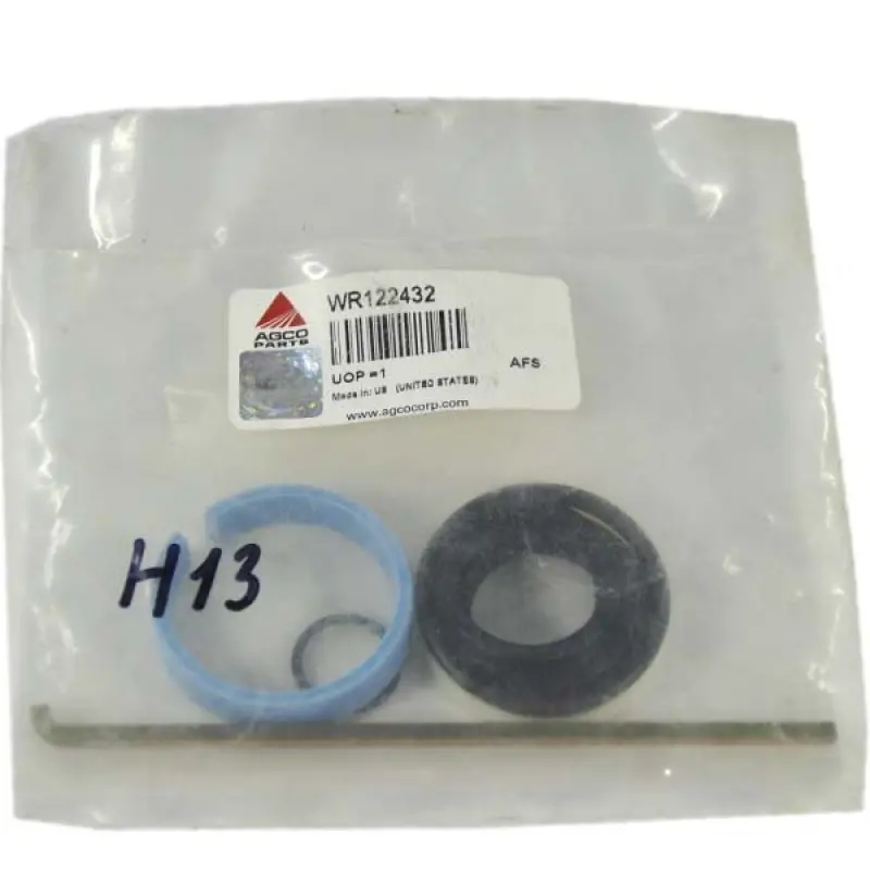 WR122432 Zestaw naprawczy siłownika hydraulicznego Massey Ferguson (AGCO PARTS)
