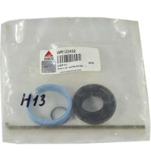 WR122432 Hydraulic Cylinder Repair Kit for Massey Ferguson (AGCO PARTS)