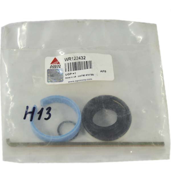 WR122432 Zestaw naprawczy siłownika hydraulicznego Massey Ferguson (AGCO PARTS)