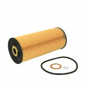 Hengst E197HD06 Oil Filter