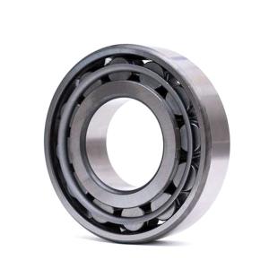 Single Row Roller Bearing N206 Whale
