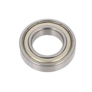6006-ZZ China Ball Bearing Single Row