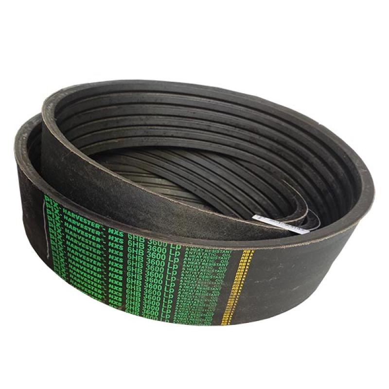 6HB3600 Six-ribbed belt PIX