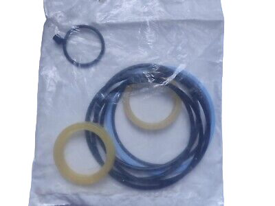 RE36975 Zestaw naprawczy cylindra hydraulicznego John Deere