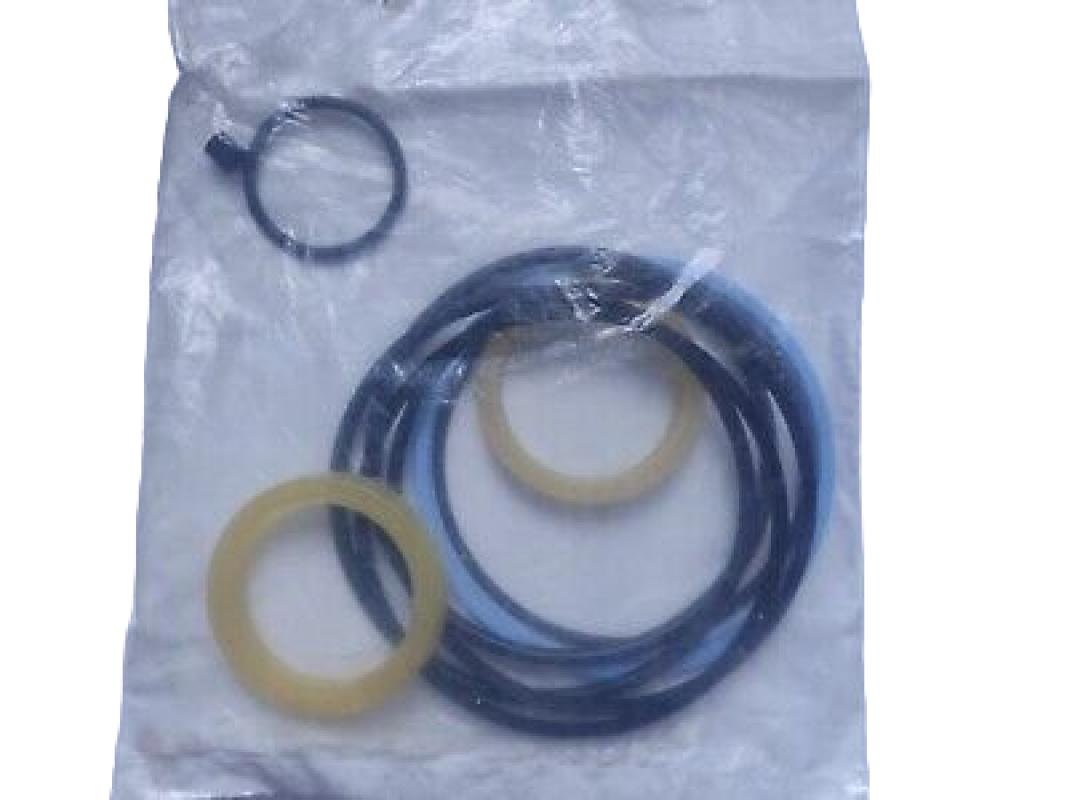 RE36975 Zestaw naprawczy cylindra hydraulicznego John Deere