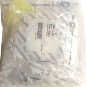 25803100 Zestaw uszczelek cylindra CNH