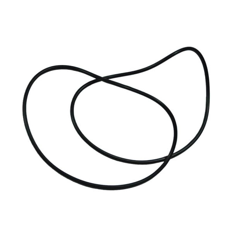 87421149 O-ring, CSX7080 CNH