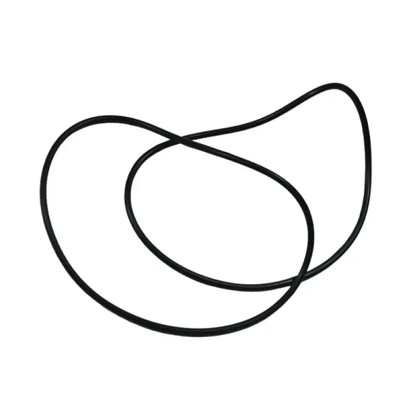 87421149 O-ring, CSX7080 CNH