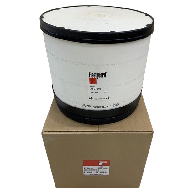 Air Filter Fleetguard AF27919