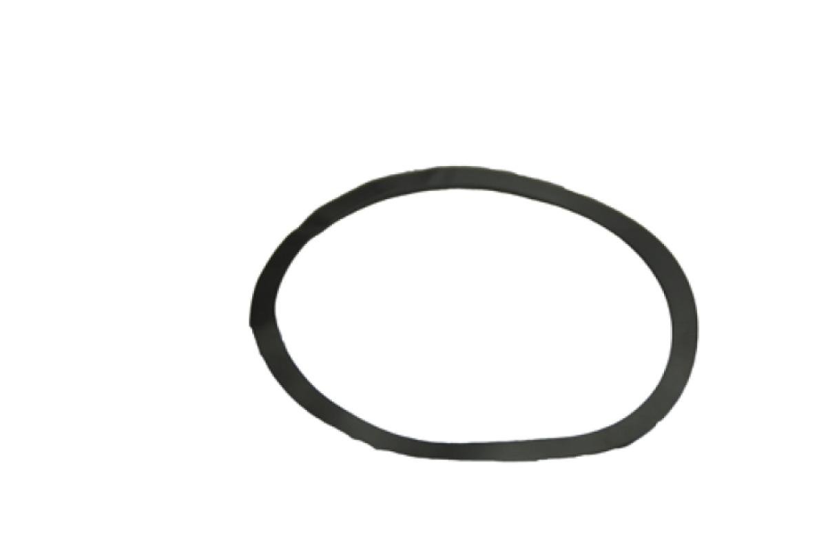 359242A1 Pierścień nastawczy (0,1 mm), Steiger 500 CNH