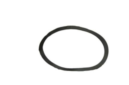 359242A1 Pierścień nastawczy (0,1 mm), Steiger 500 CNH